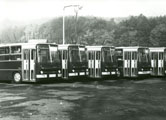 1984-es beszerzs autbuszok a Majlis-Parkban  Fot: Bodnr Lszl